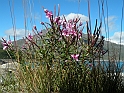 Colle Del Moncenisio - Diga di Contenimento e Lago_045